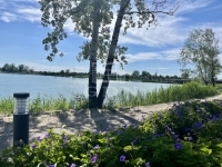 Dunaharaszti Telek