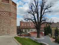 Budapest II. kerület Lakás (téglaépítésű)