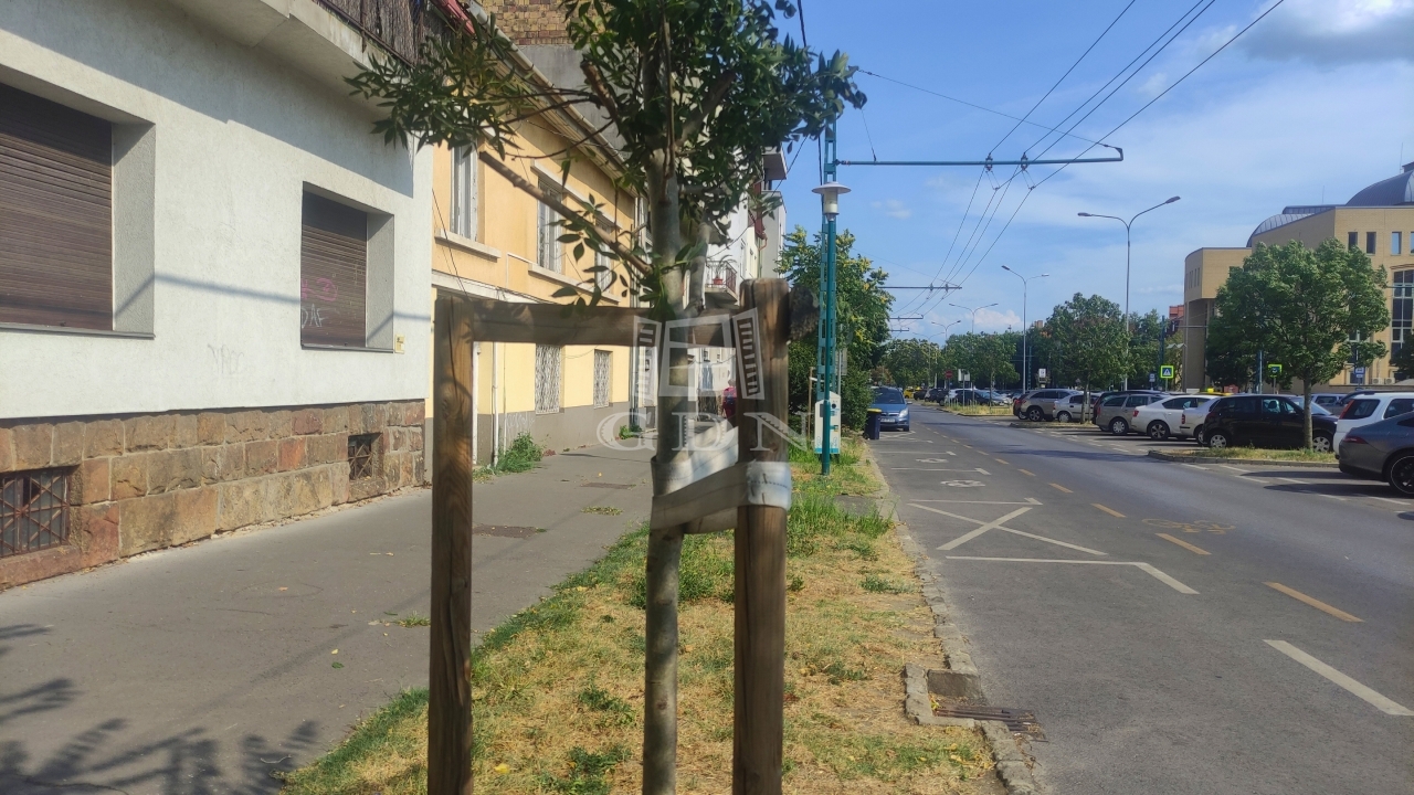 Verkauf Budapest XIV. kerület Wohnung (Ziegel)